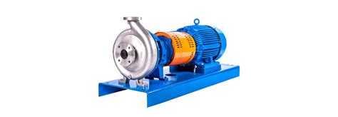 ansi centrifugal pump repair data form|rotech ansi pump manual.